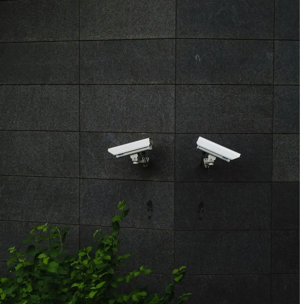 Business Security Systems